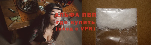 сатива Алексин